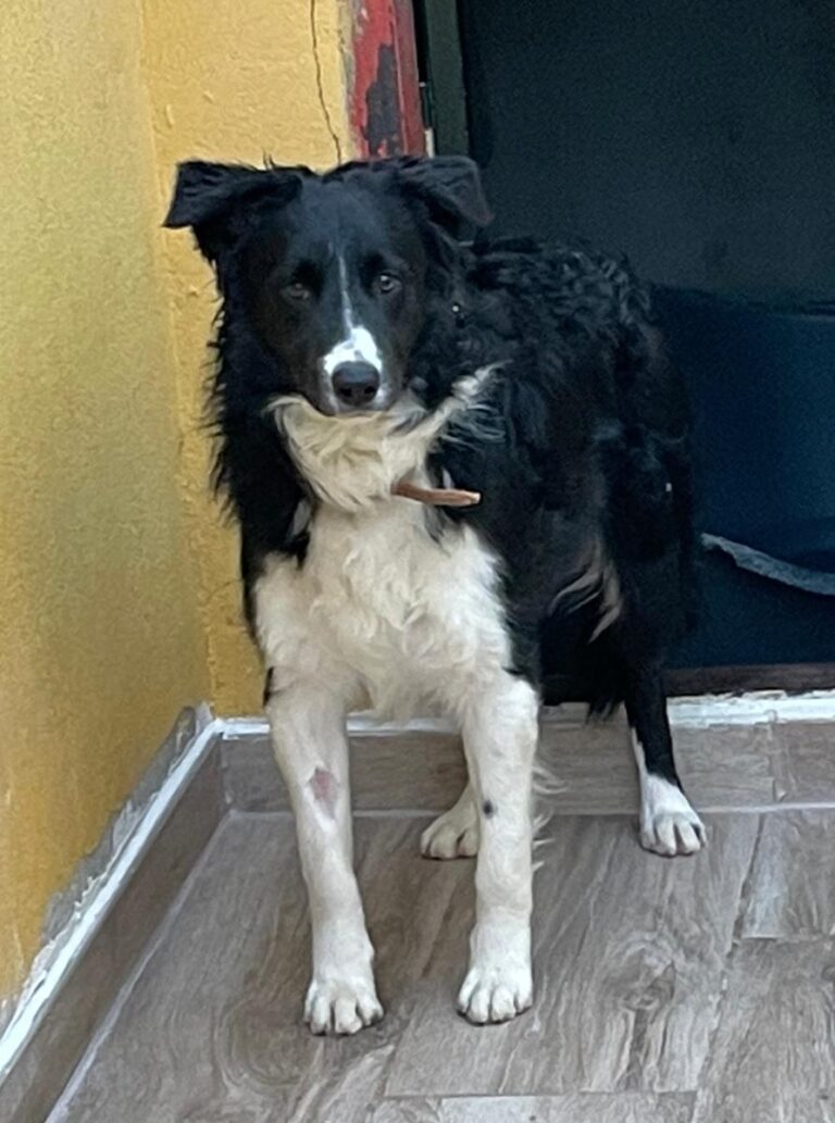 multimedia-foto76236-329-1