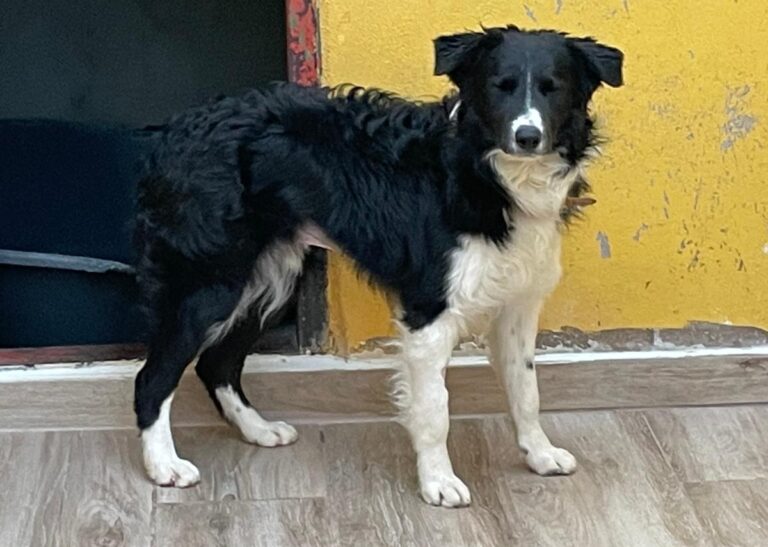 multimedia-foto76237-329-1