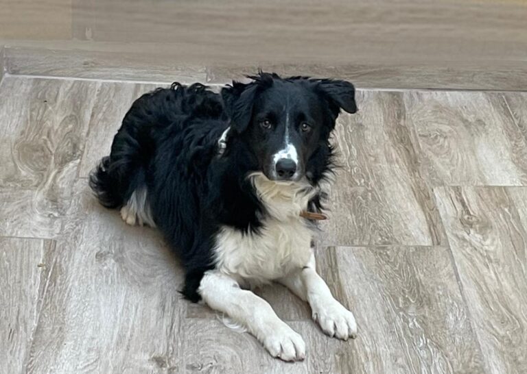 multimedia-foto76240-330-1