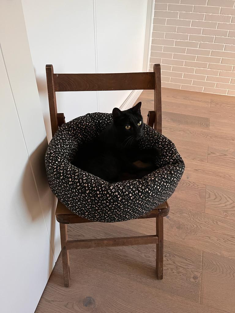 multimedia-foto76267-163-1