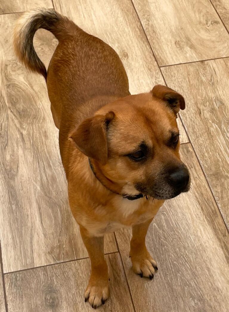 multimedia-foto76271-916-1