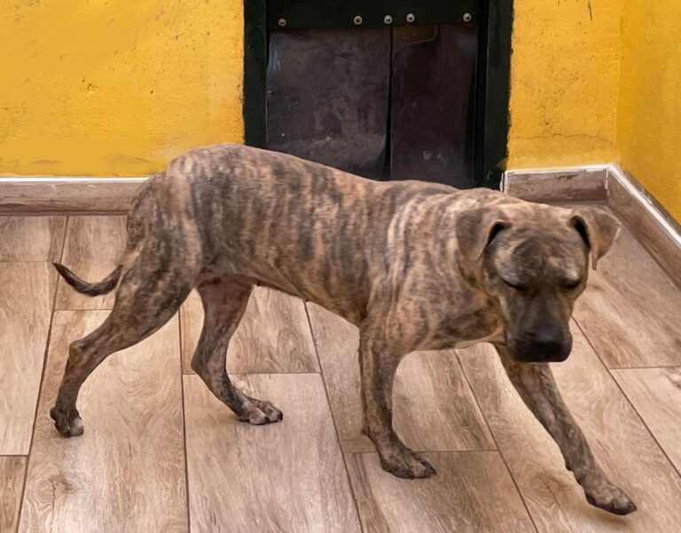 multimedia-foto76297-216-1