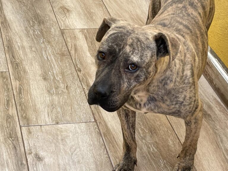 multimedia-foto76298-216-1