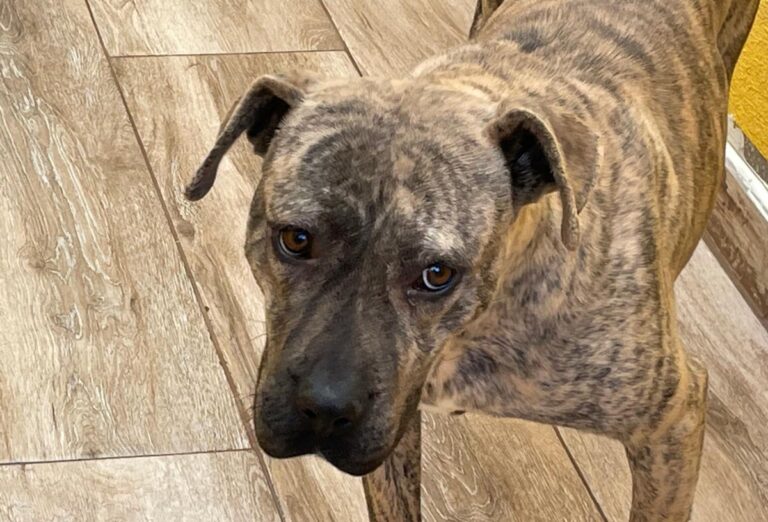 multimedia-foto76299-217-1