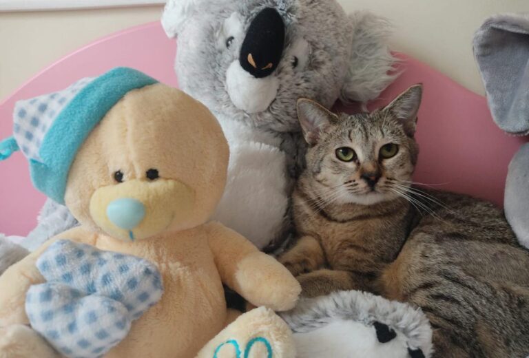 multimedia-foto76309-561-1