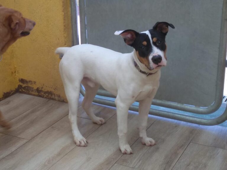 multimedia-foto76318-406-1