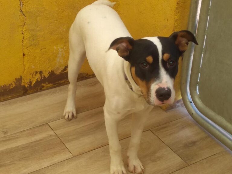 multimedia-foto76319-406-1