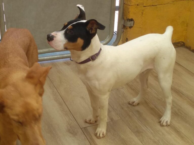 multimedia-foto76320-406-1