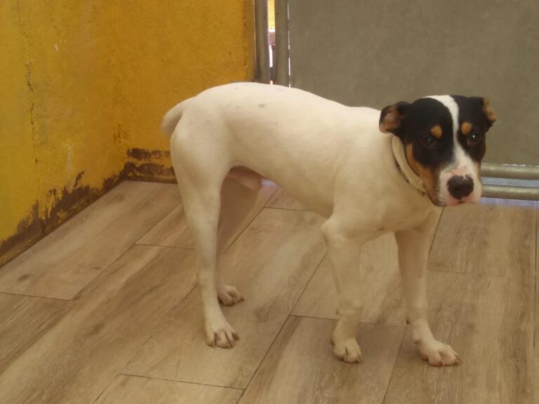 multimedia-foto76321-406-1