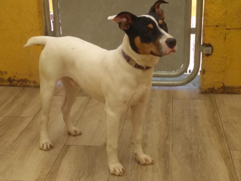 multimedia-foto76322-406-1