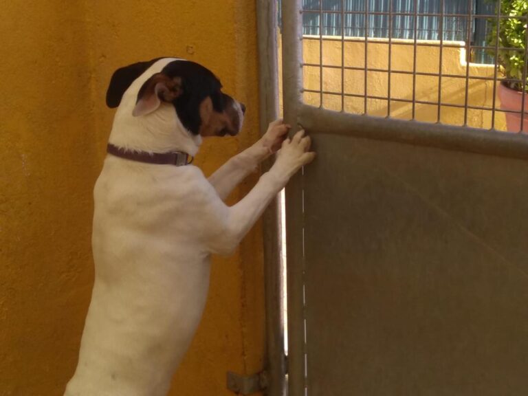 multimedia-foto76323-407-1