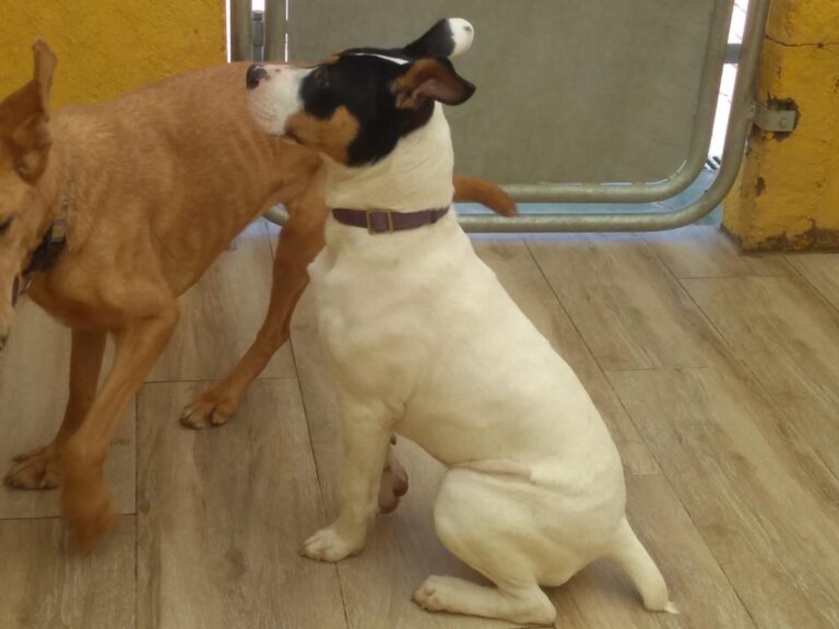 multimedia-foto76324-407-1