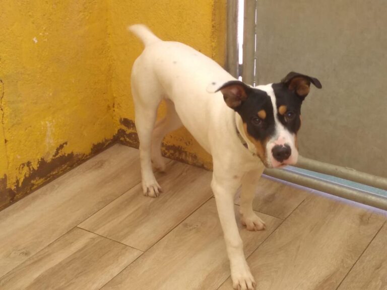 multimedia-foto76325-407-1