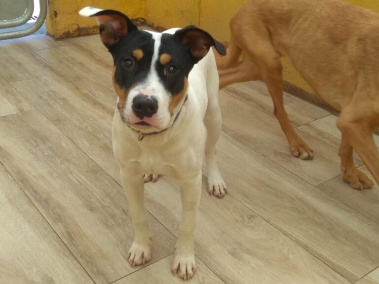 multimedia-foto76326-407-1