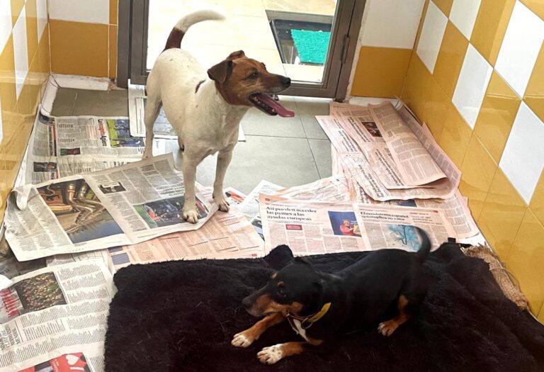 multimedia-foto76327-927-1