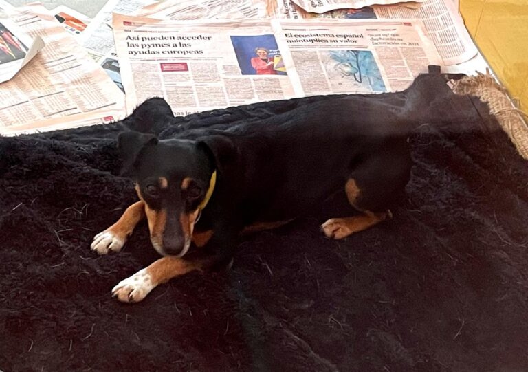 multimedia-foto76328-927-1