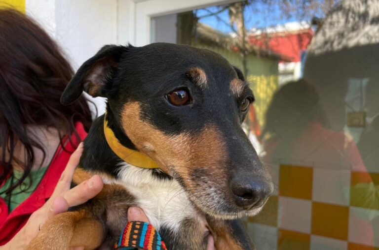 multimedia-foto76329-927-1