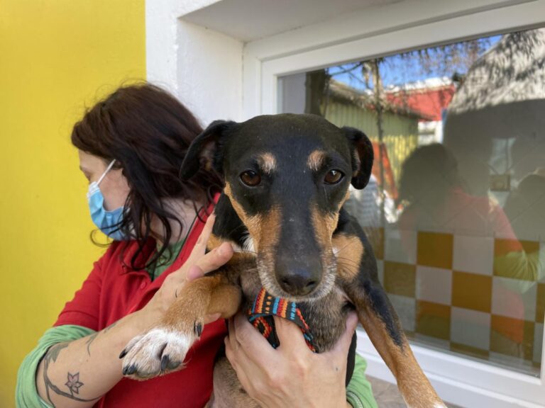 multimedia-foto76330-927-1