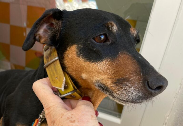 multimedia-foto76331-927-1