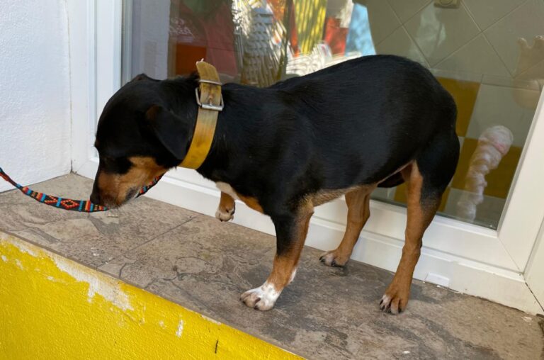 multimedia-foto76332-928-1