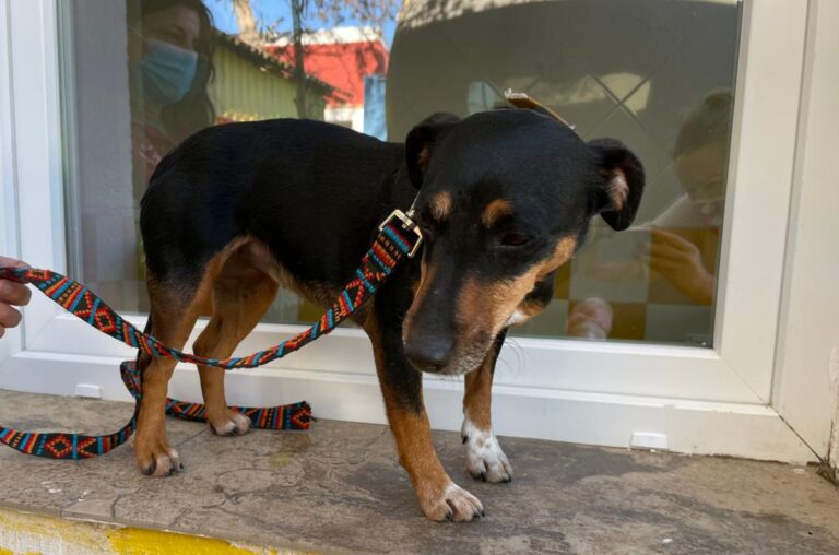 multimedia-foto76333-928-1