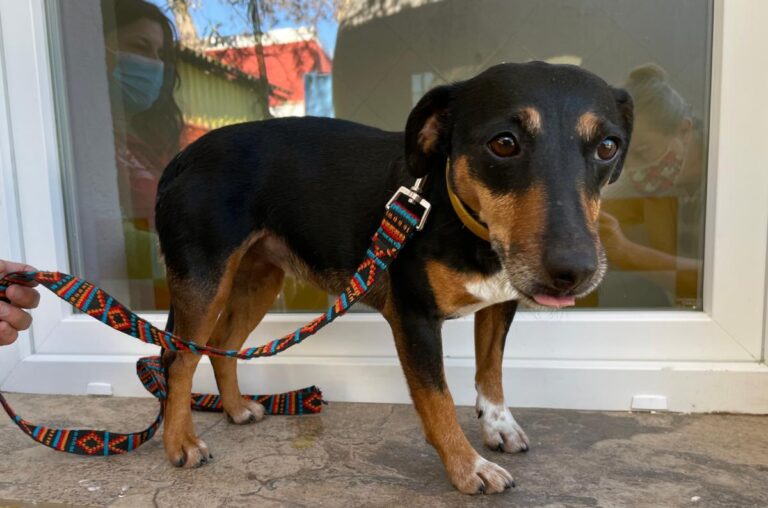 multimedia-foto76334-928-1