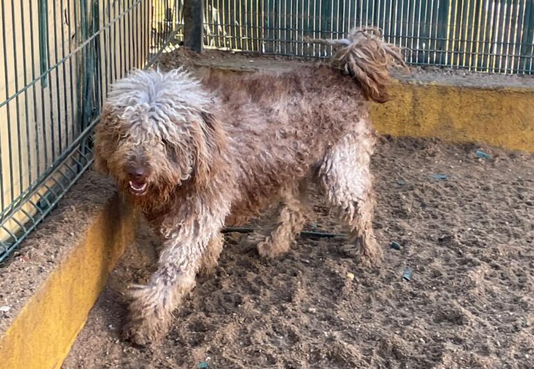 multimedia-foto76396-185-1