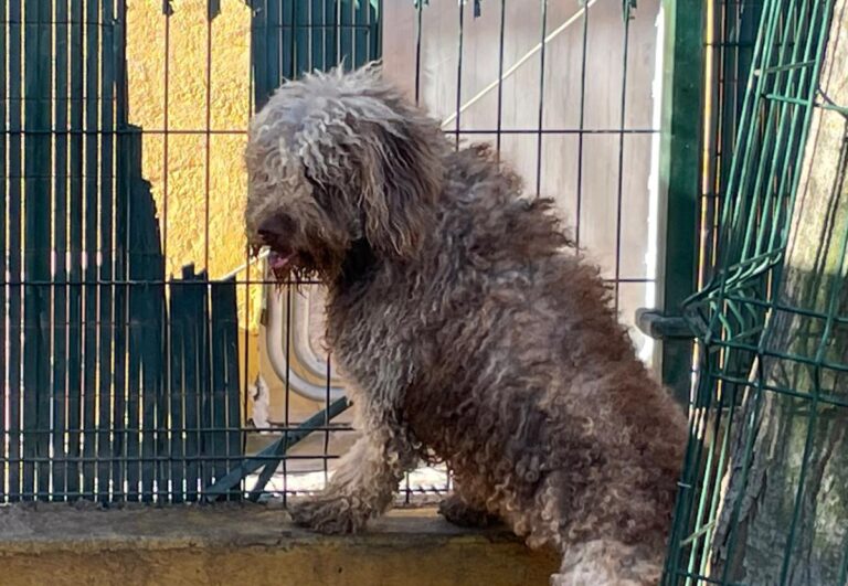 multimedia-foto76397-185-1