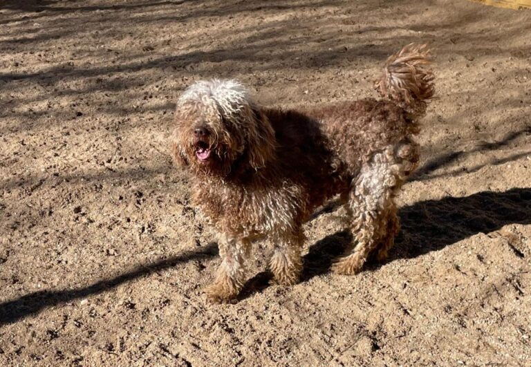 multimedia-foto76398-185-1