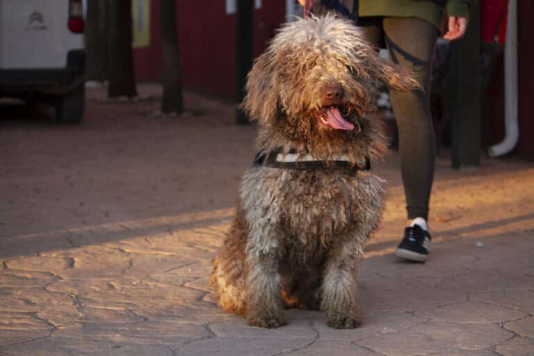 multimedia-foto76400-185-1