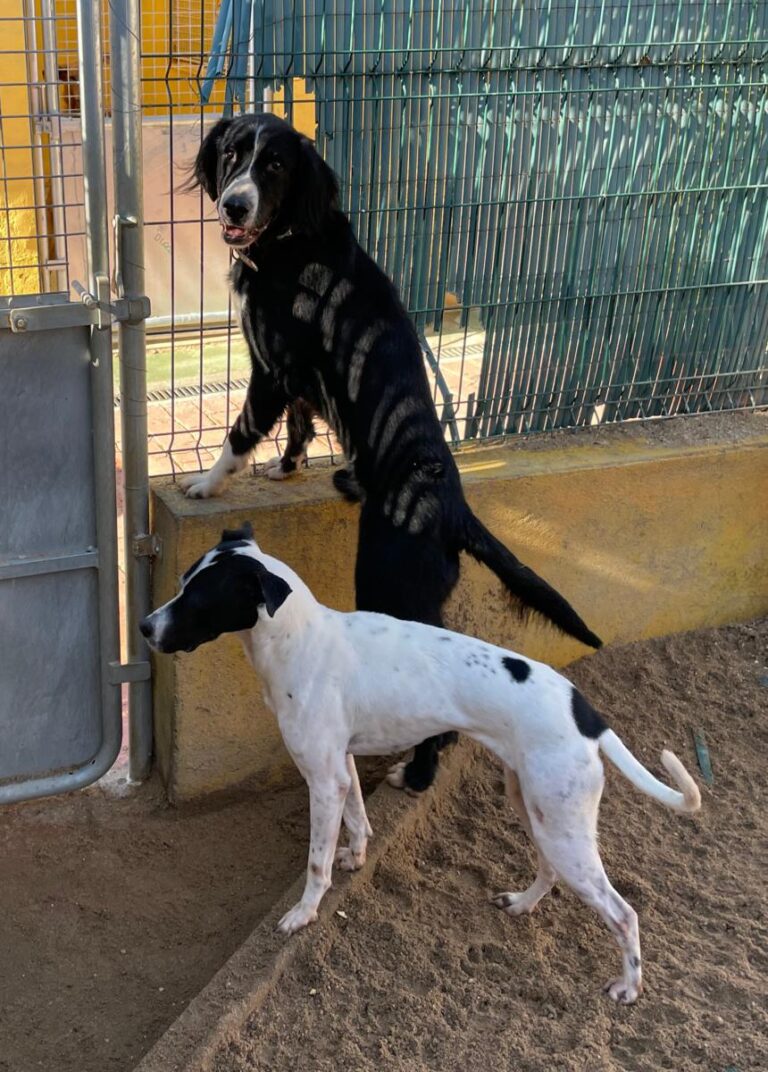 multimedia-foto76403-637-1