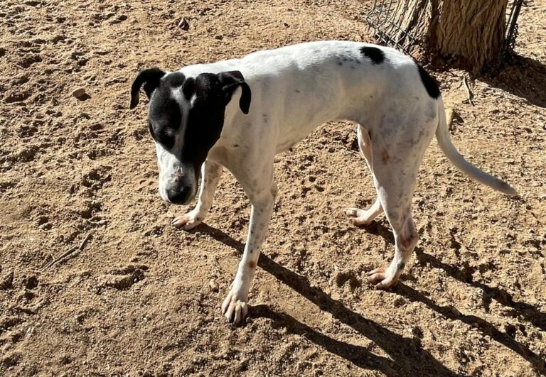 multimedia-foto76404-638-1