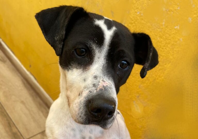 multimedia-foto76405-638-1