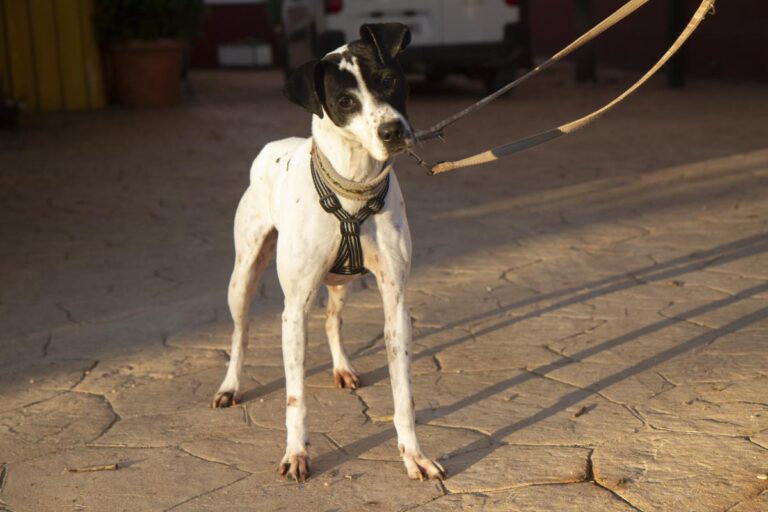 multimedia-foto76406-638-1