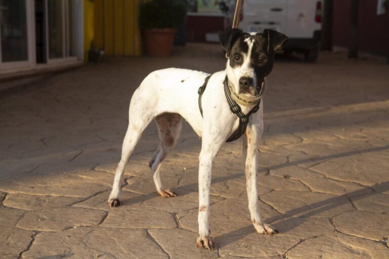 multimedia-foto76409-639-1