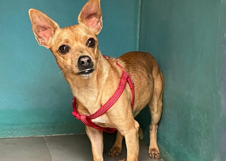 multimedia-foto76457-807-1