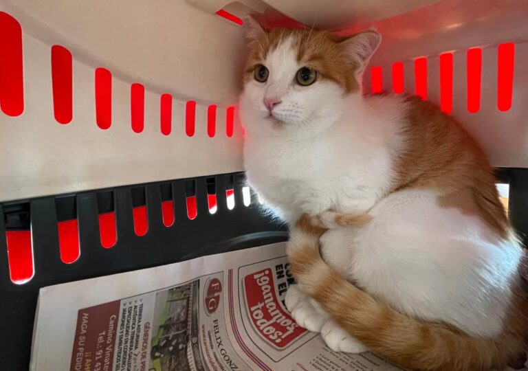 multimedia-foto76462-825-1