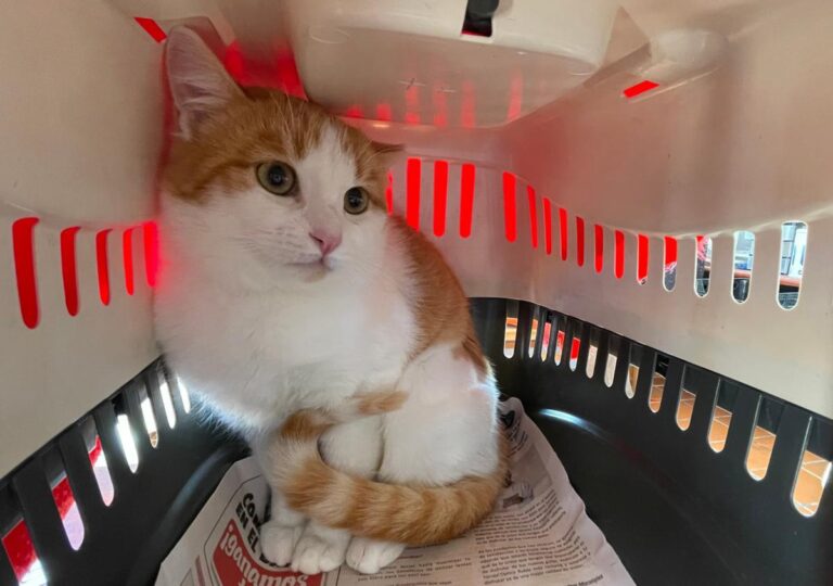 multimedia-foto76463-825-1