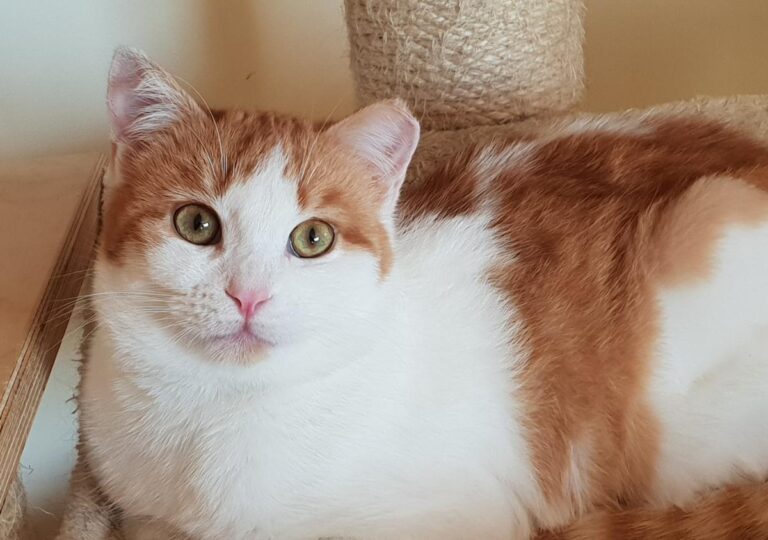 multimedia-foto76464-825-1