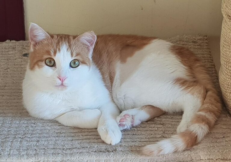 multimedia-foto76465-826-1