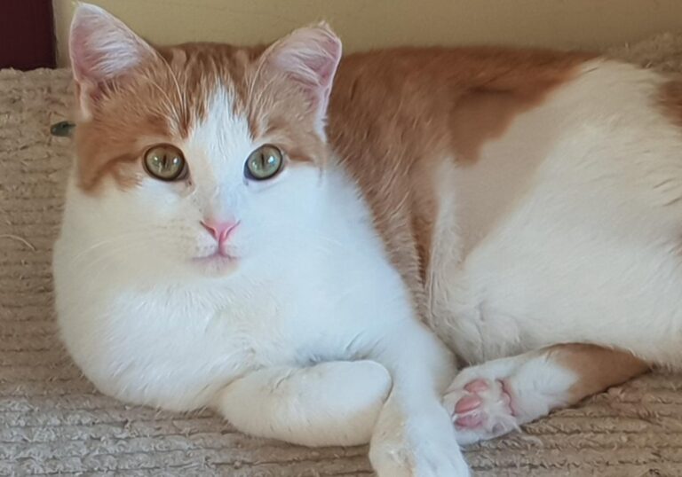 multimedia-foto76466-826-1