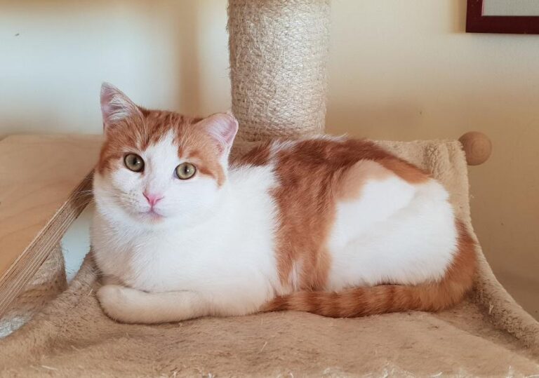 multimedia-foto76467-826-1