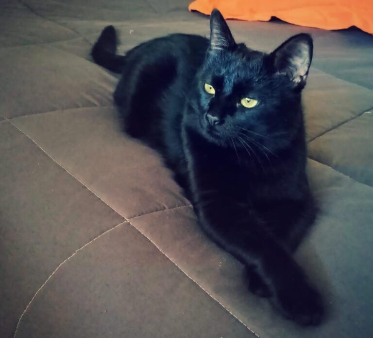 multimedia-foto76472-83-1