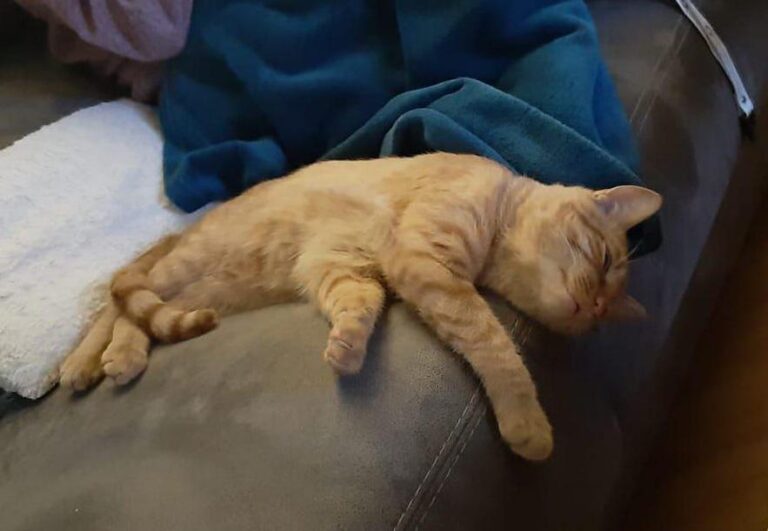 multimedia-foto76474-112-1