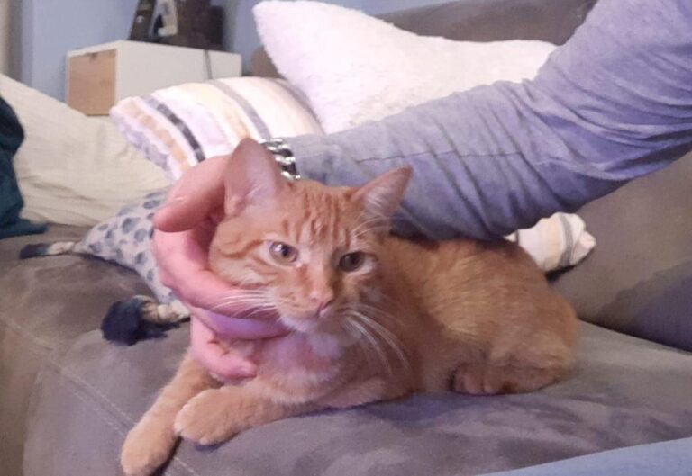 multimedia-foto76475-112-1