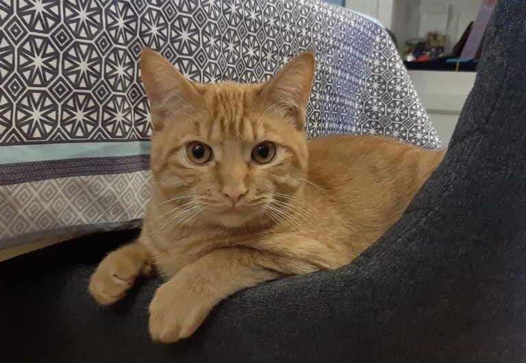 multimedia-foto76476-112-1