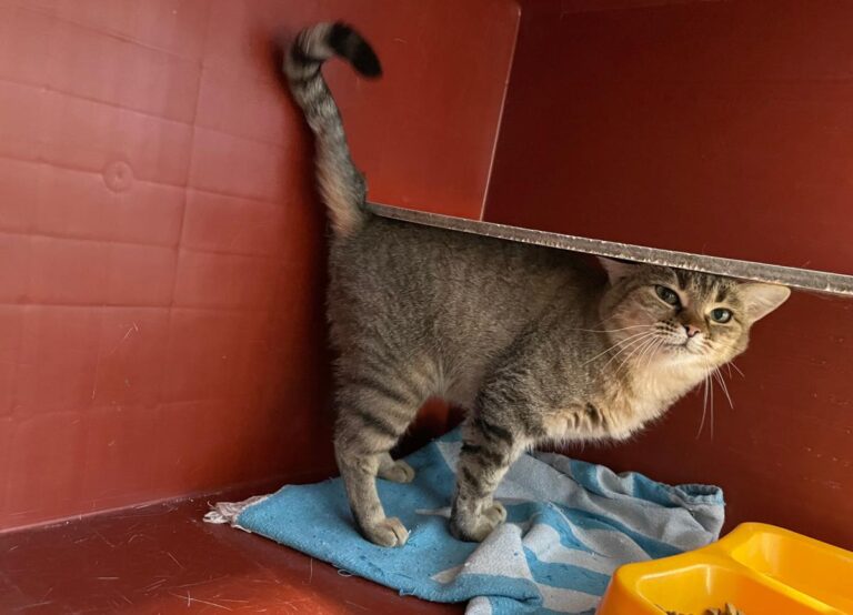 multimedia-foto76489-122-1