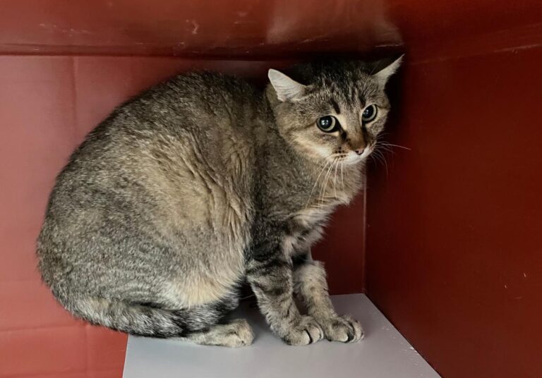 multimedia-foto76490-122-1