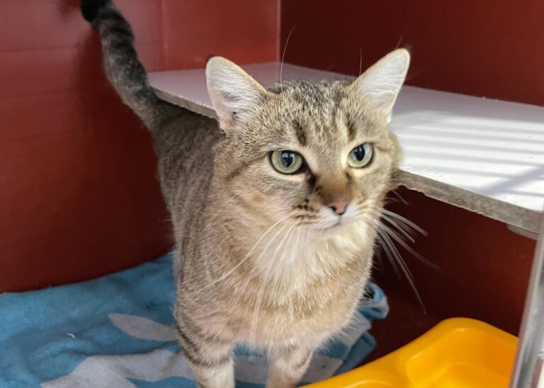 multimedia-foto76492-122-1