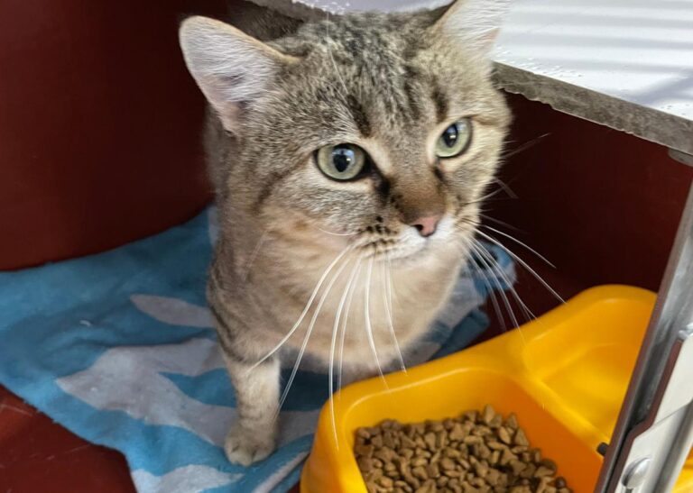 multimedia-foto76493-122-1